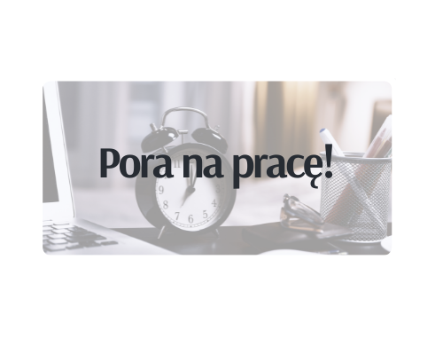 Projekt Pora na pracę!